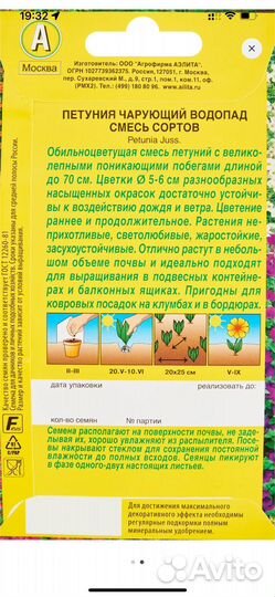 Рассада Петунья водопад (6 штук в контейнере)