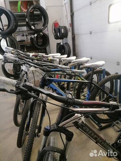 Горный велосипед capriolo MTB level 9.1