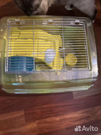 Клетка дюна