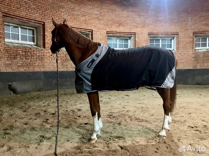 Попона флисовая для лошади 145р. Fouganza