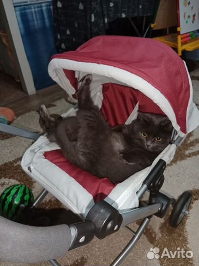 Развивающие игрушки для малышей