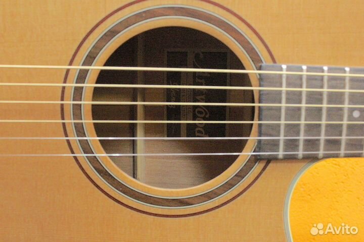 Ibanez AW250ECE-LG Acoustic