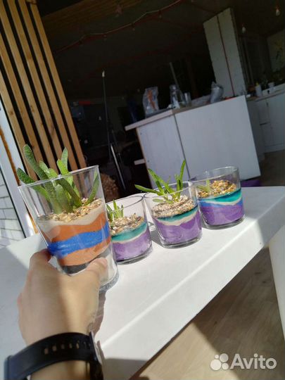 Флорариум в стакане с водоёмом мини сад