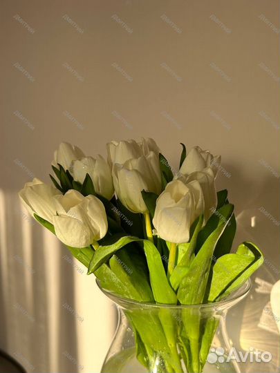 Тюльпаны в розницу