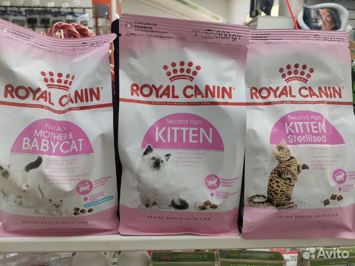 Корм для кошек Роял Канин