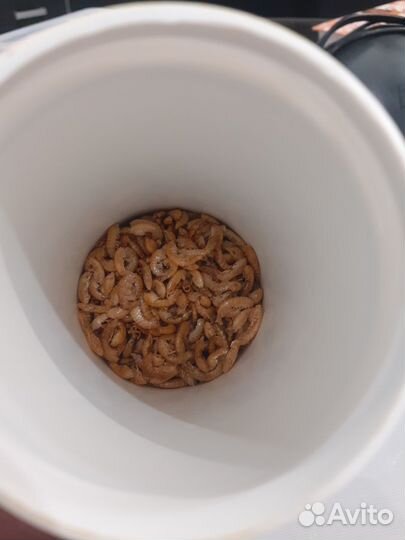 Корм для рыб