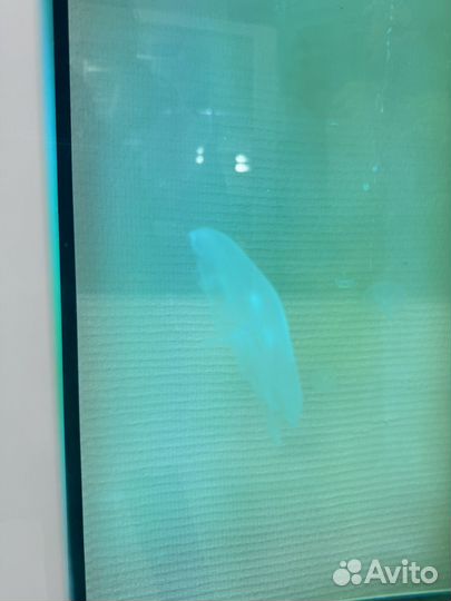 Аквариум для медуз