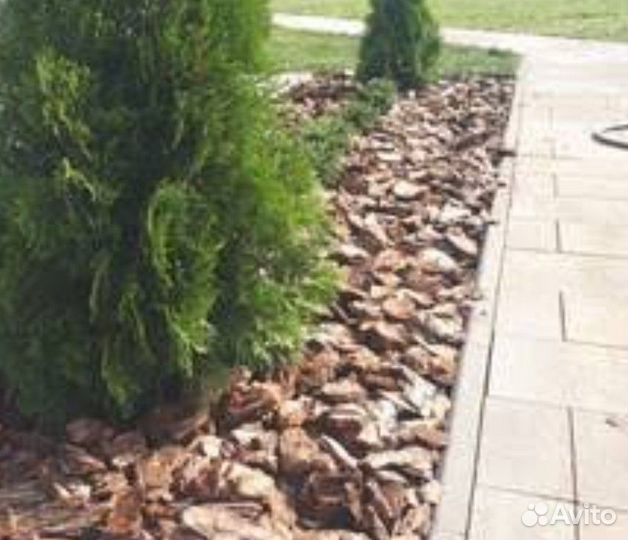 Кора сосновая