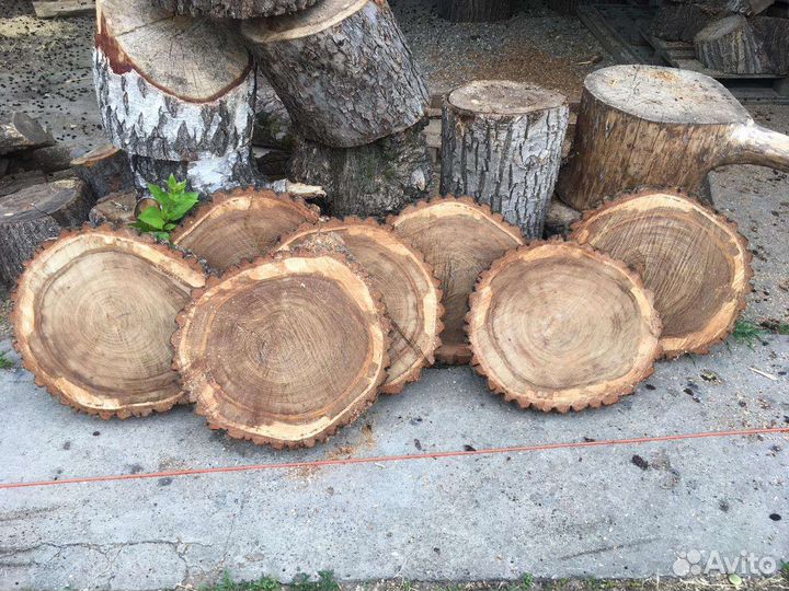 Слэбы спилы свежий спил