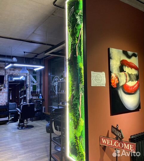 Стабилизированный мох.Озеленение.Декор.Ресторан