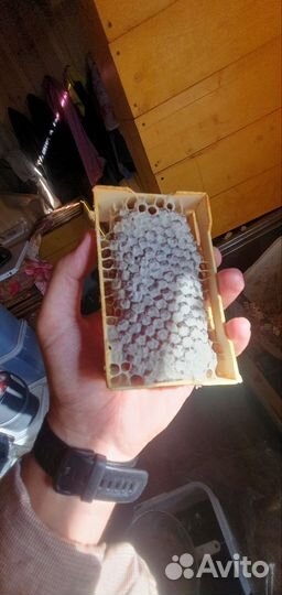 Карельский Мёд