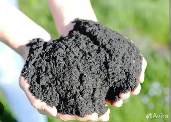 Черная Земля Terra Preta