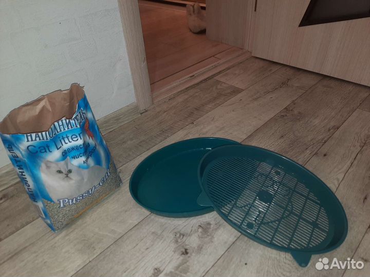 Лоток и наполнитель