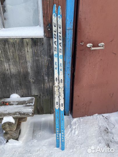Беговые лыжи sable