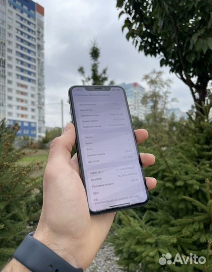 iPhone Xs Max, 256 ГБ