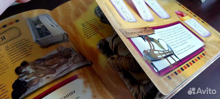 Загадки мумий