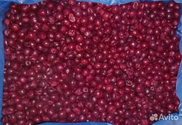 Вишня б к отборная Сербия