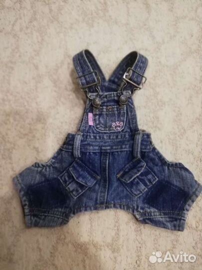 Джинсы для маленькой собаки