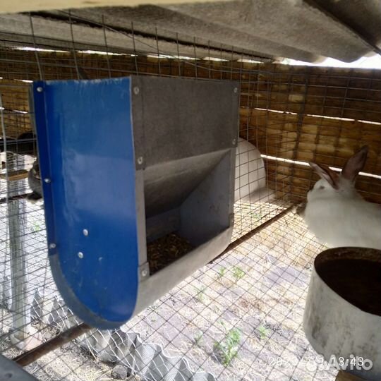 Бункерная кормушка для кроликов