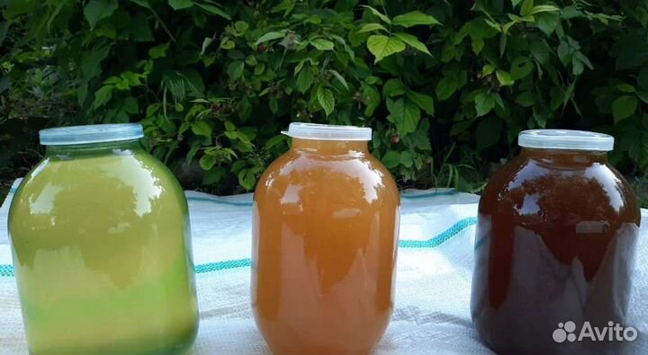 Мед. Воск. Перга. Пыльца. Прополис.Забрус