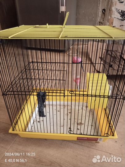 Клетка для грызунов бу