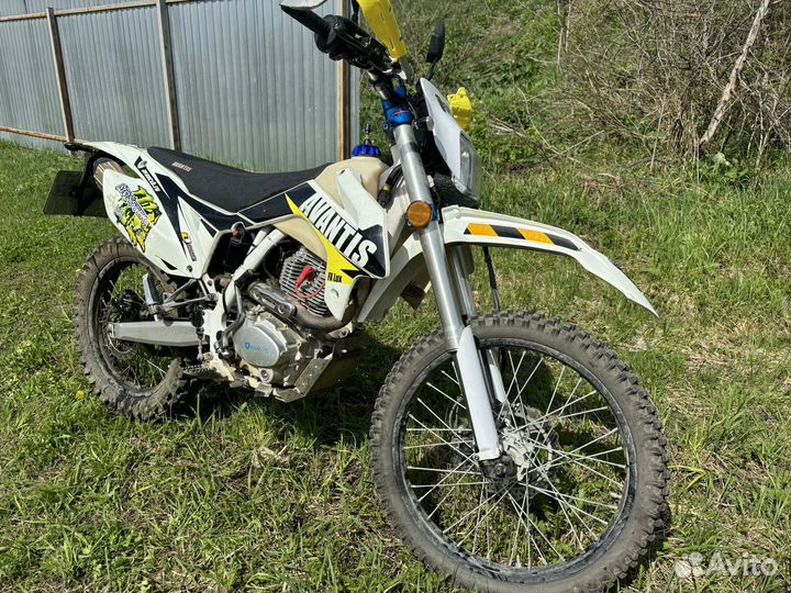 Avantis FX250