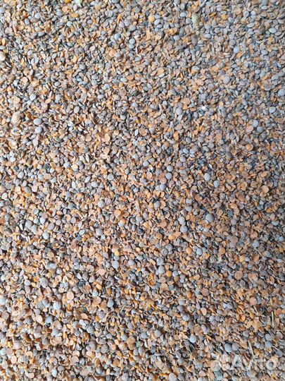 Отходы чечевицы гороха пшеницы