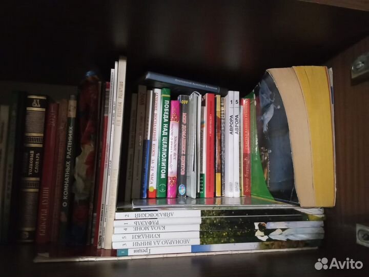 Книги разной тематики пакетом лот6125