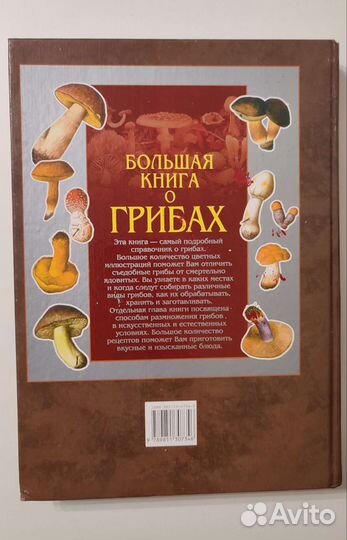 Подробный справочник о грибах