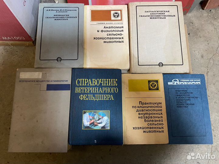 Книги разные ветеринарные граматика задачник