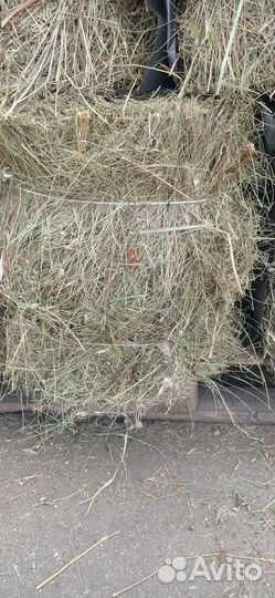 Сена солома