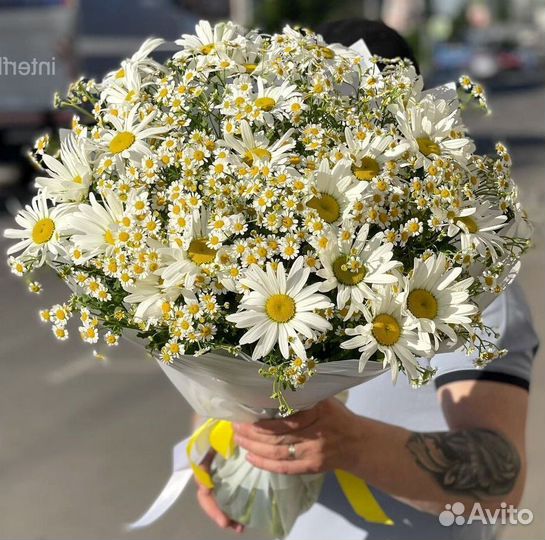 Ромашки Букет ромашек