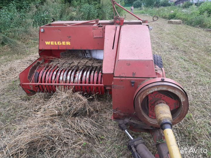 Сено 2023 тюки и рулоны разнотравье солома подстил