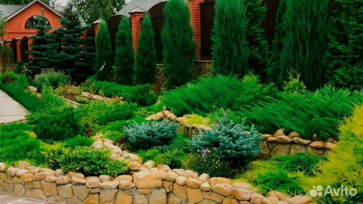 Озеленение благоустройство газоны