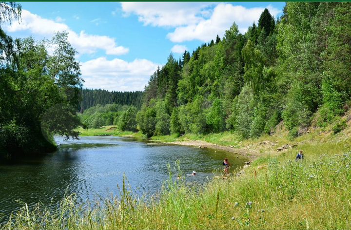 Участок 1675,69 га (СНТ, ДНП)