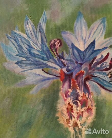 Картина маслом на холсте цветы