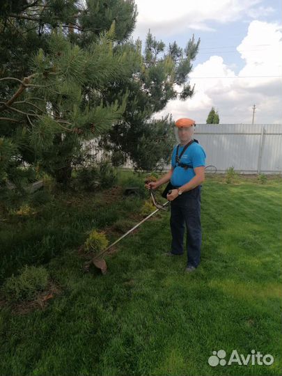 Услуги покоса травы