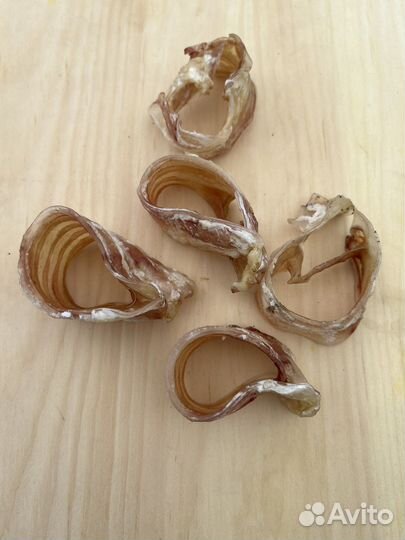 Сушеные лакомства для собак