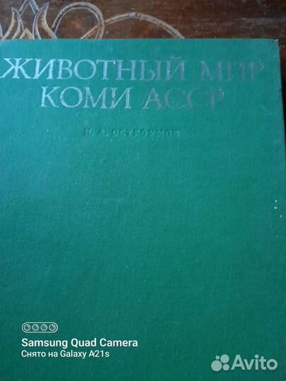 Животный мир Коми асср Остроумов
