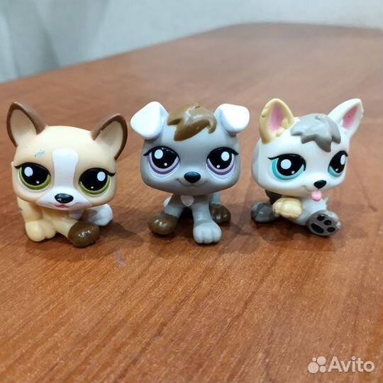 Littlest pet shop маленькие собачки