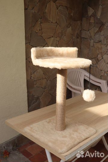 Когтеточка