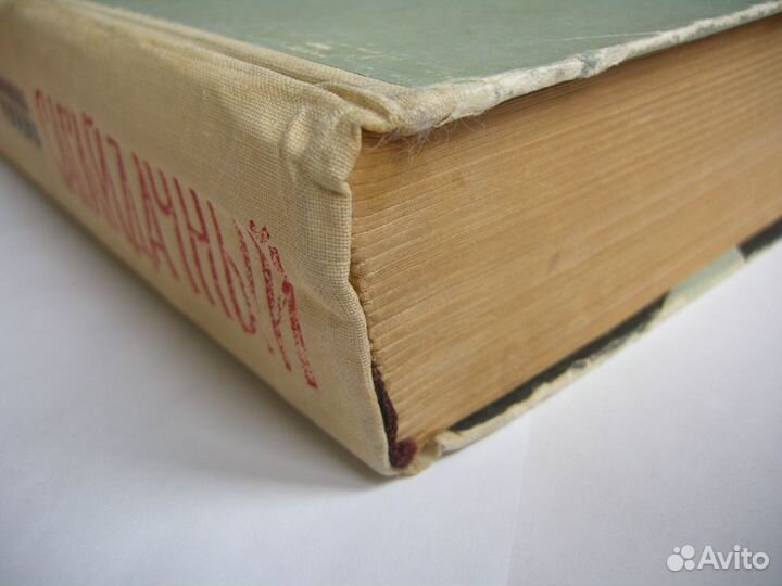 Тулуб Зинаида. Сагайдачный. 1962