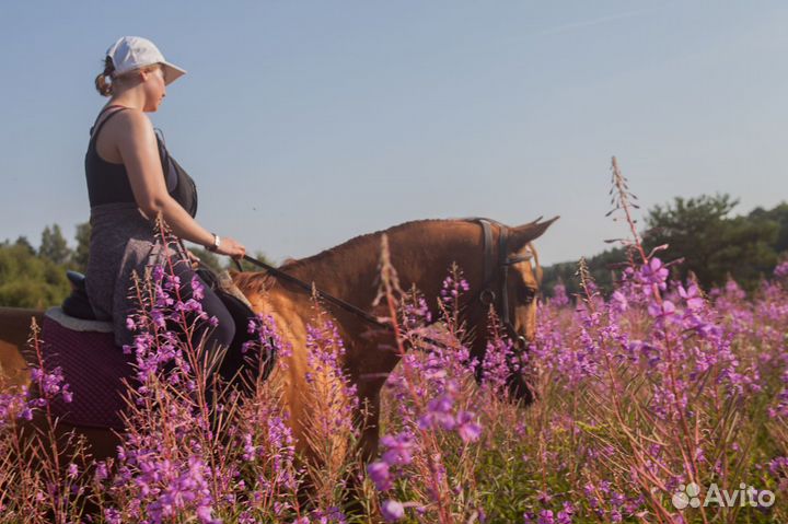 Конный поход Ночное