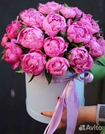 Пионы Букет пионов