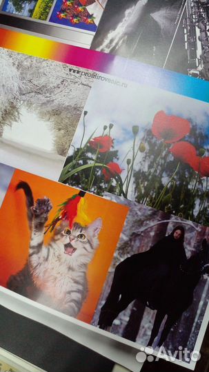 Цветной лазерный принтер, мфу гарантия