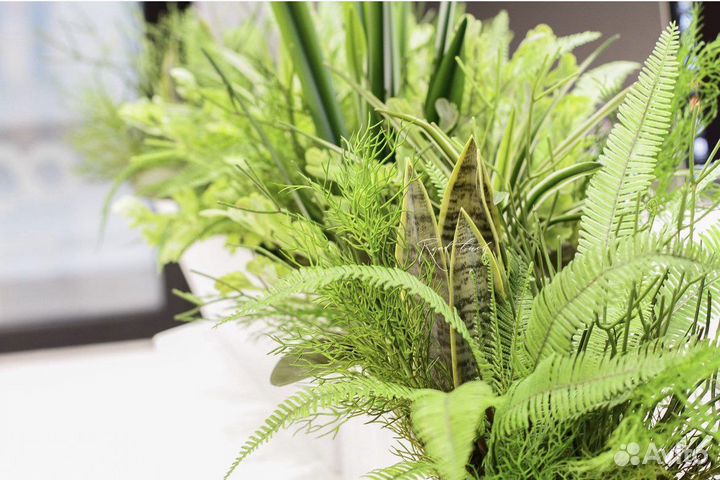Искусственные растения папоротник/лиана
