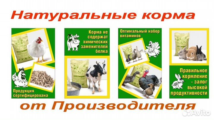 Корма для с/х животных на рынке 