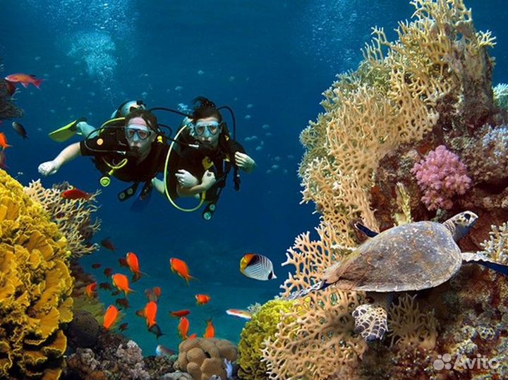 Турпоездка в г. Шарджу от 7 ночей