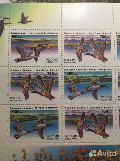 Малый лист марки «Утки» 1995