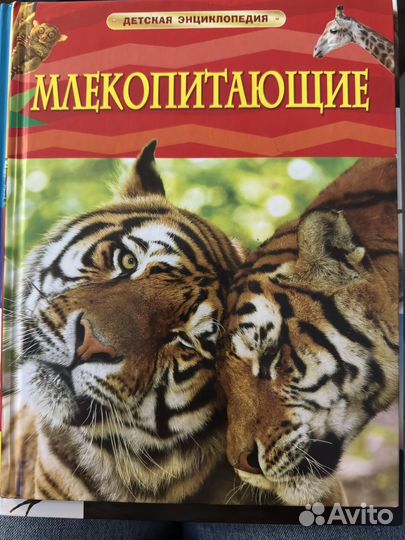 Детские книги. Энциклопедии